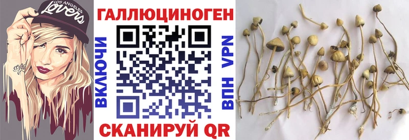 нарко площадка состав  Мурино  Псилоцибиновые грибы мицелий  закладки  мега как войти 