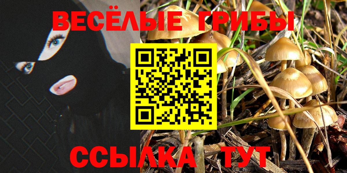 Псилоцибиновые грибы Psilocybe Мурино