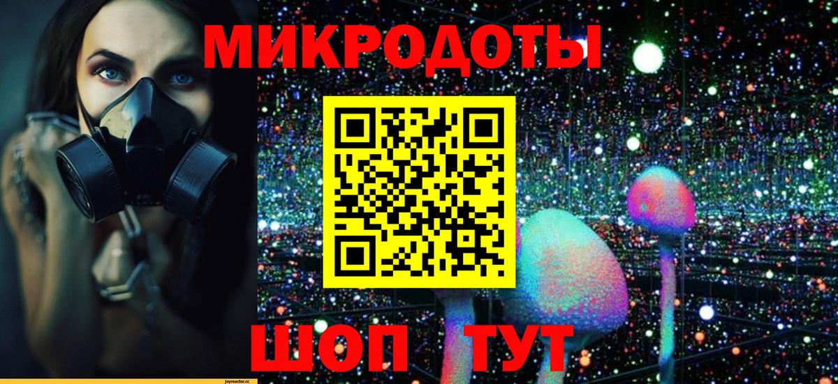 Псилоцибиновые грибы мицелий  Вход с VPN  где продают   Мурино  Галлюциногенные грибы Psilocybe 